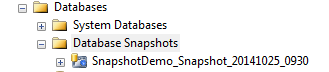 Database Snapshot In SQL Server Management Studio