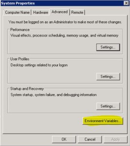 Edit And Add System Variables