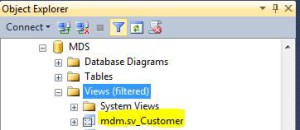 mdm.sv_Customer